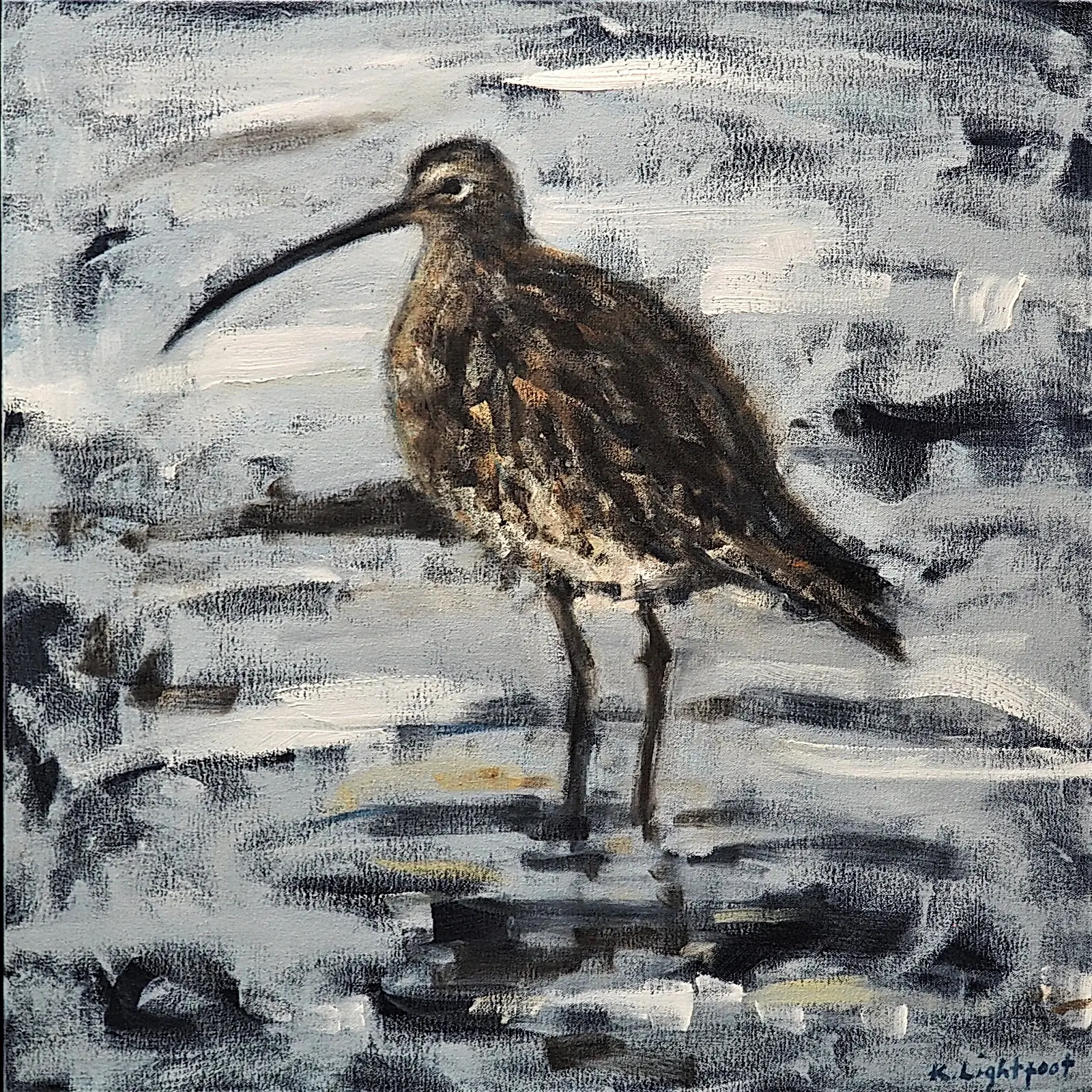 Curlew