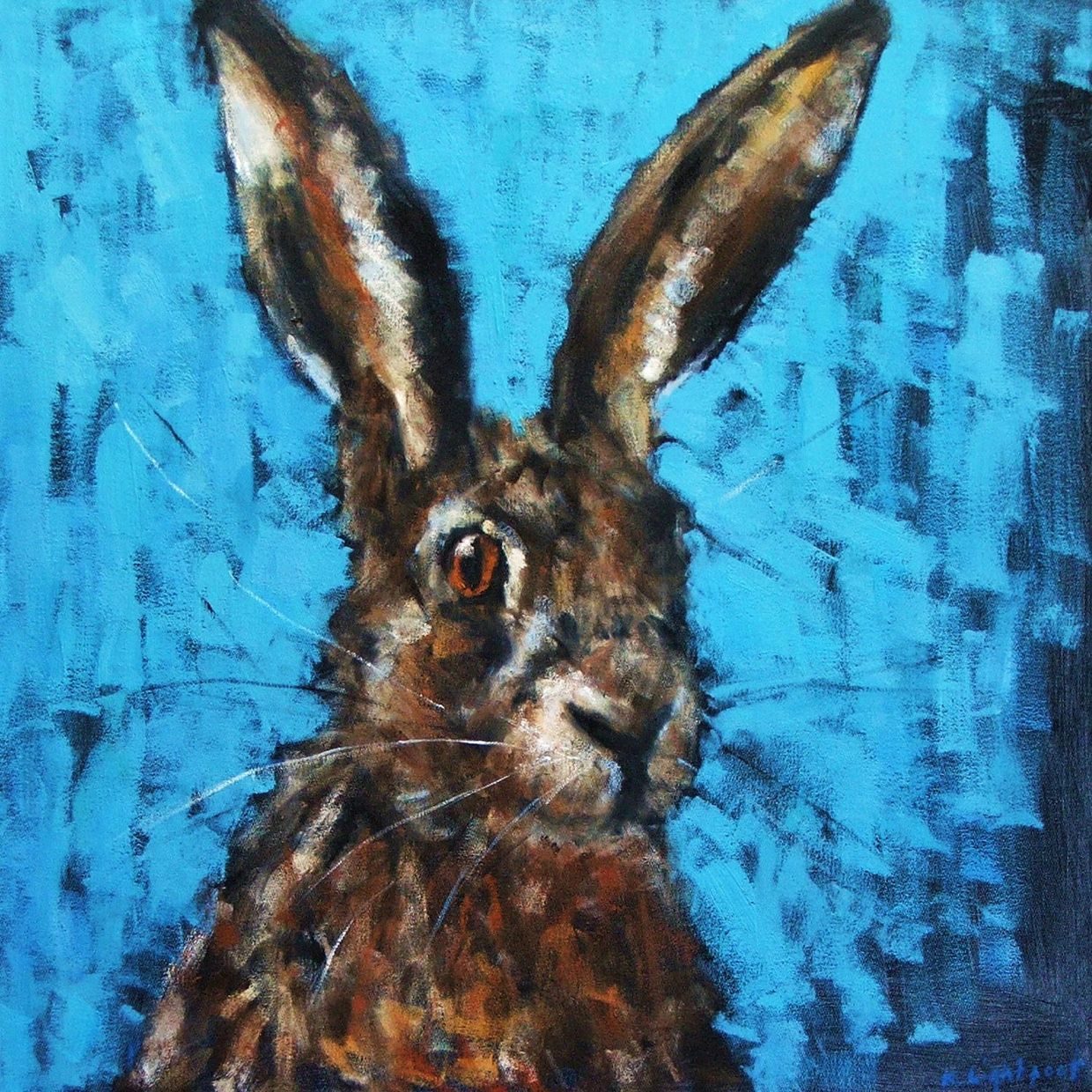 Blue Hare