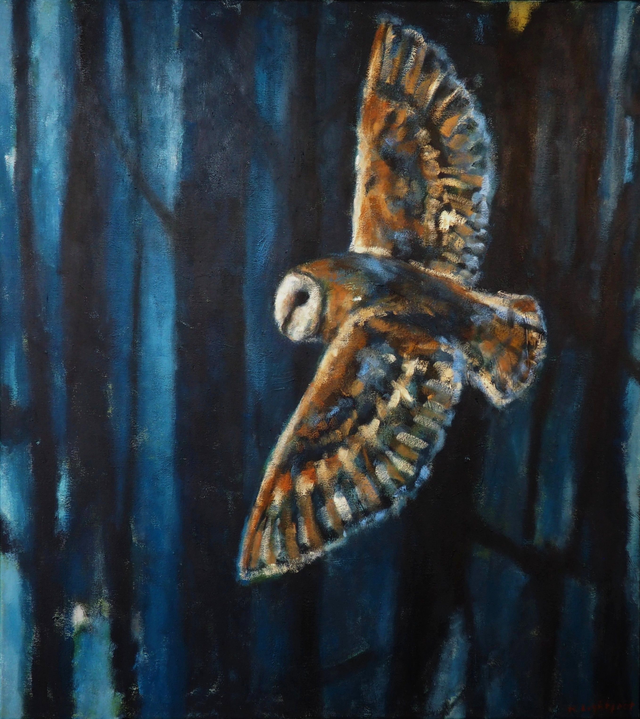 Barn Owl and Woods