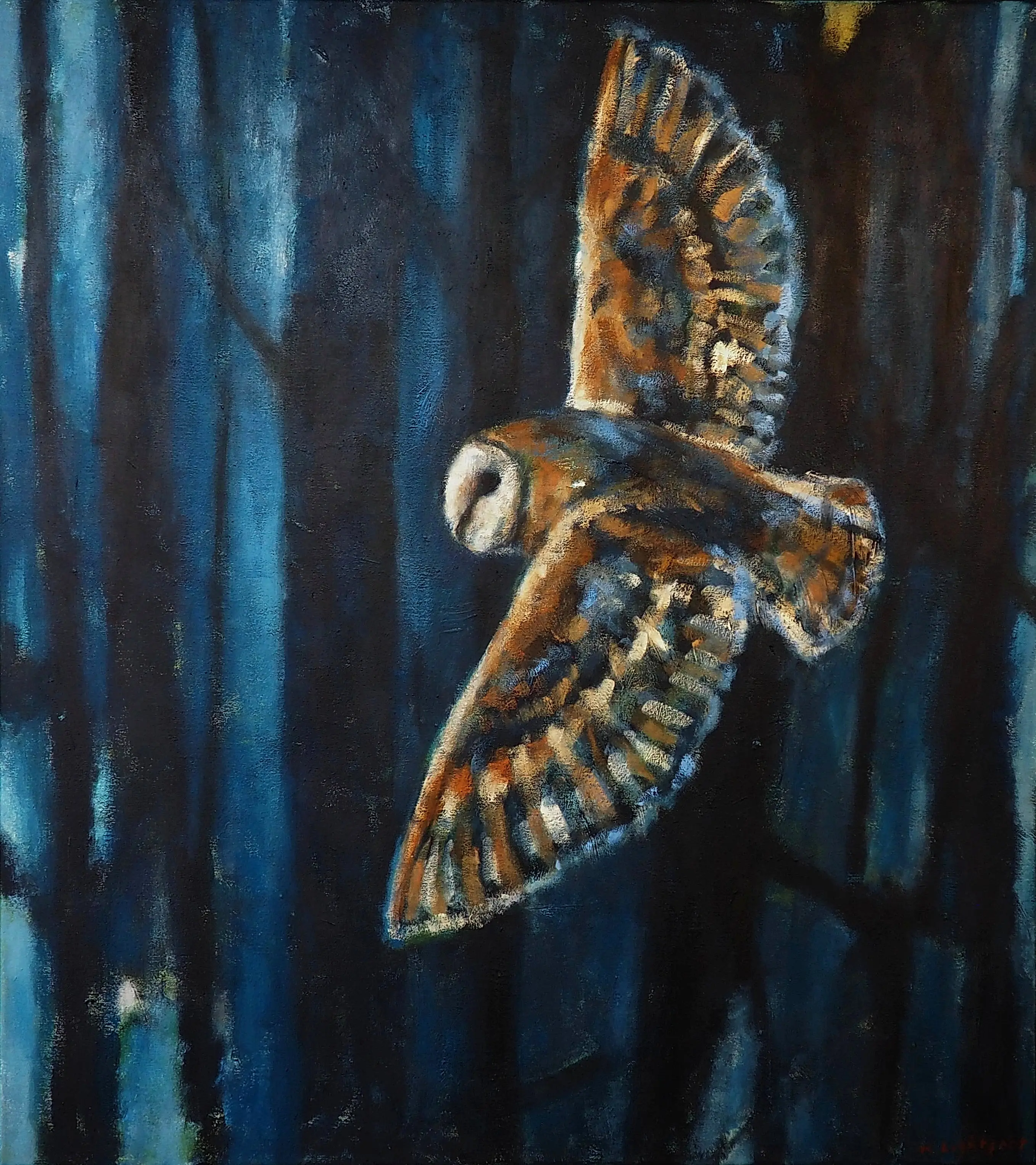 Barn Owl and Woods