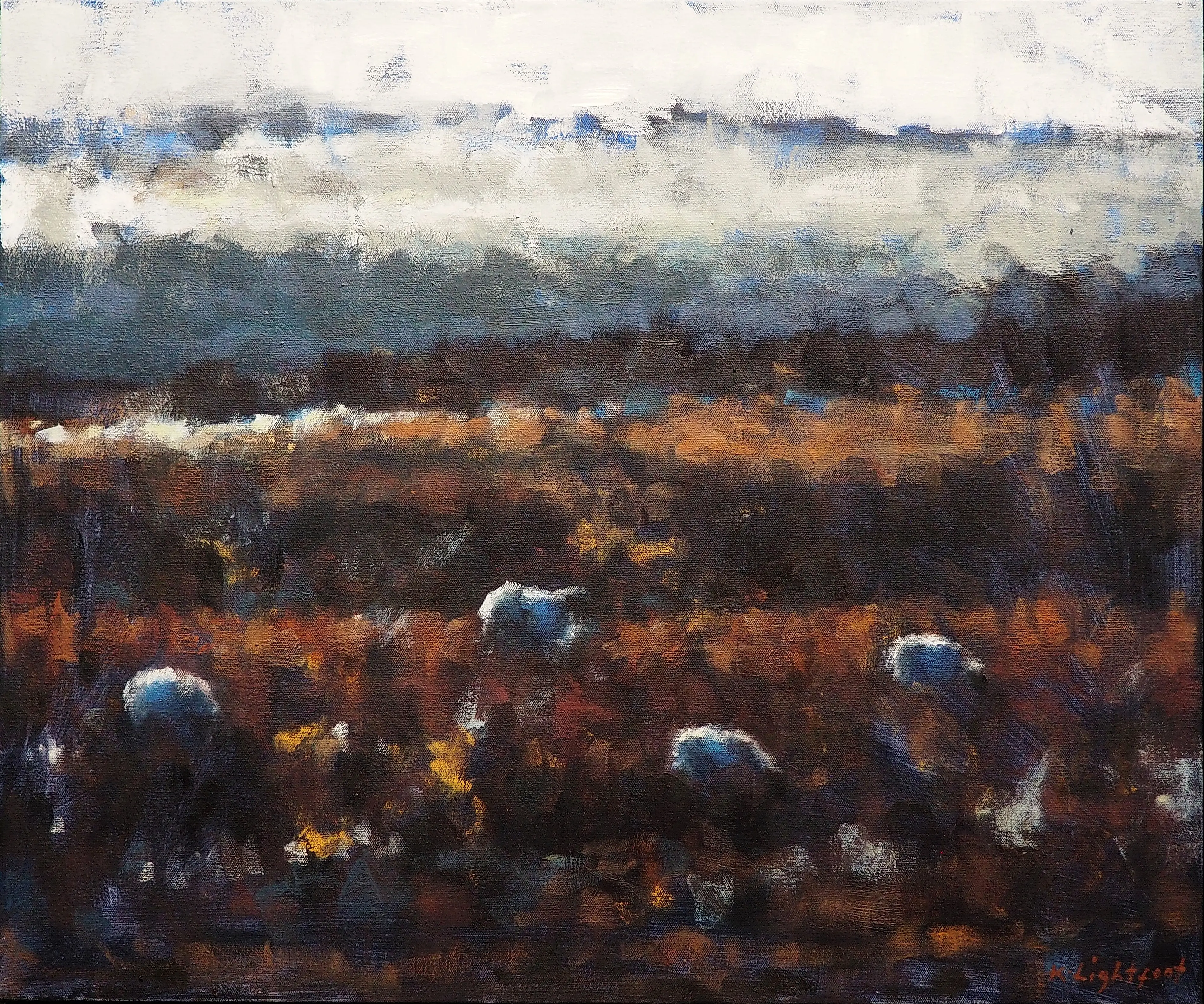 Sheep, Dartmoor Landscape