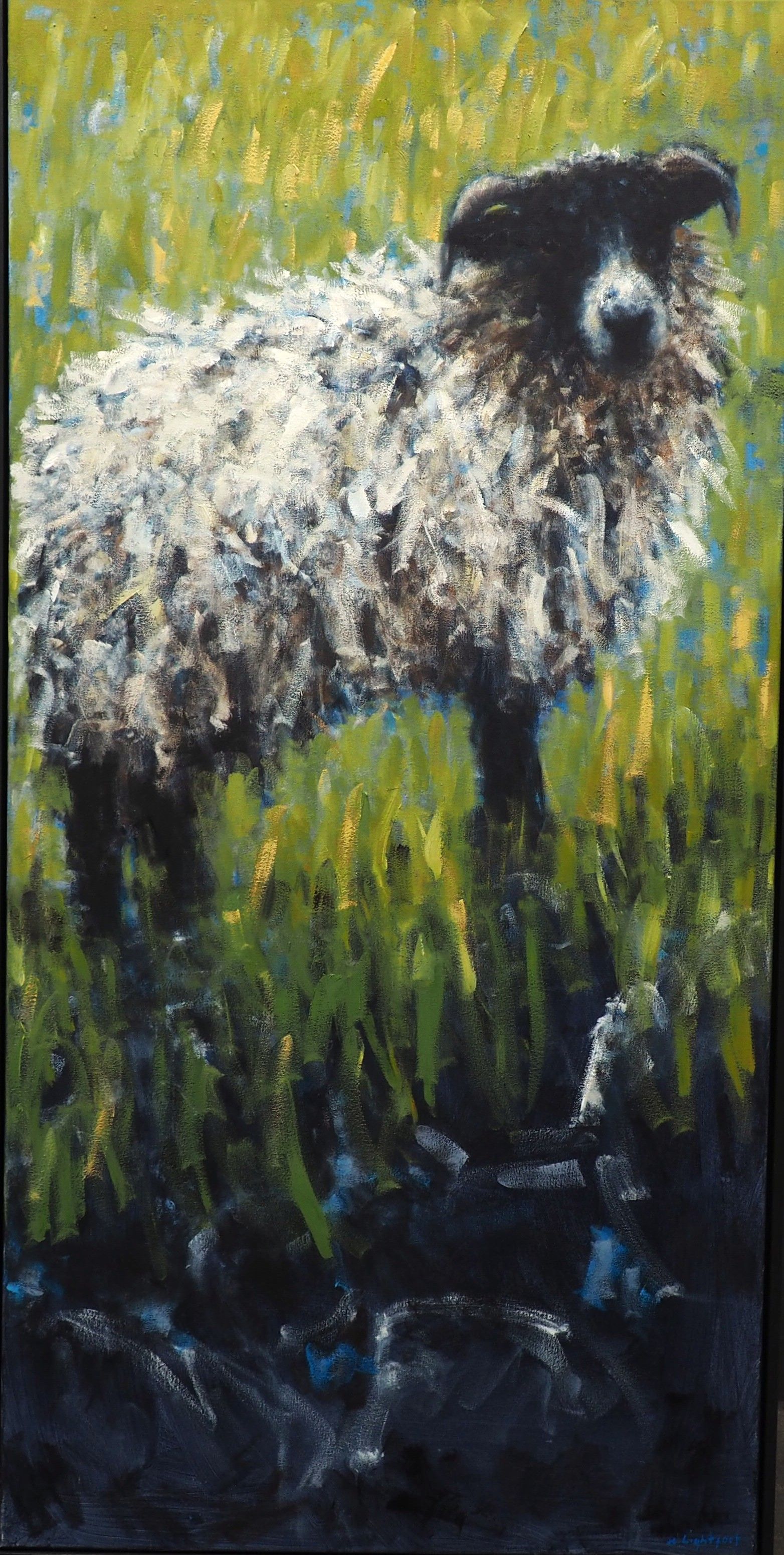 Dartmoor Sheep, Granite Wall