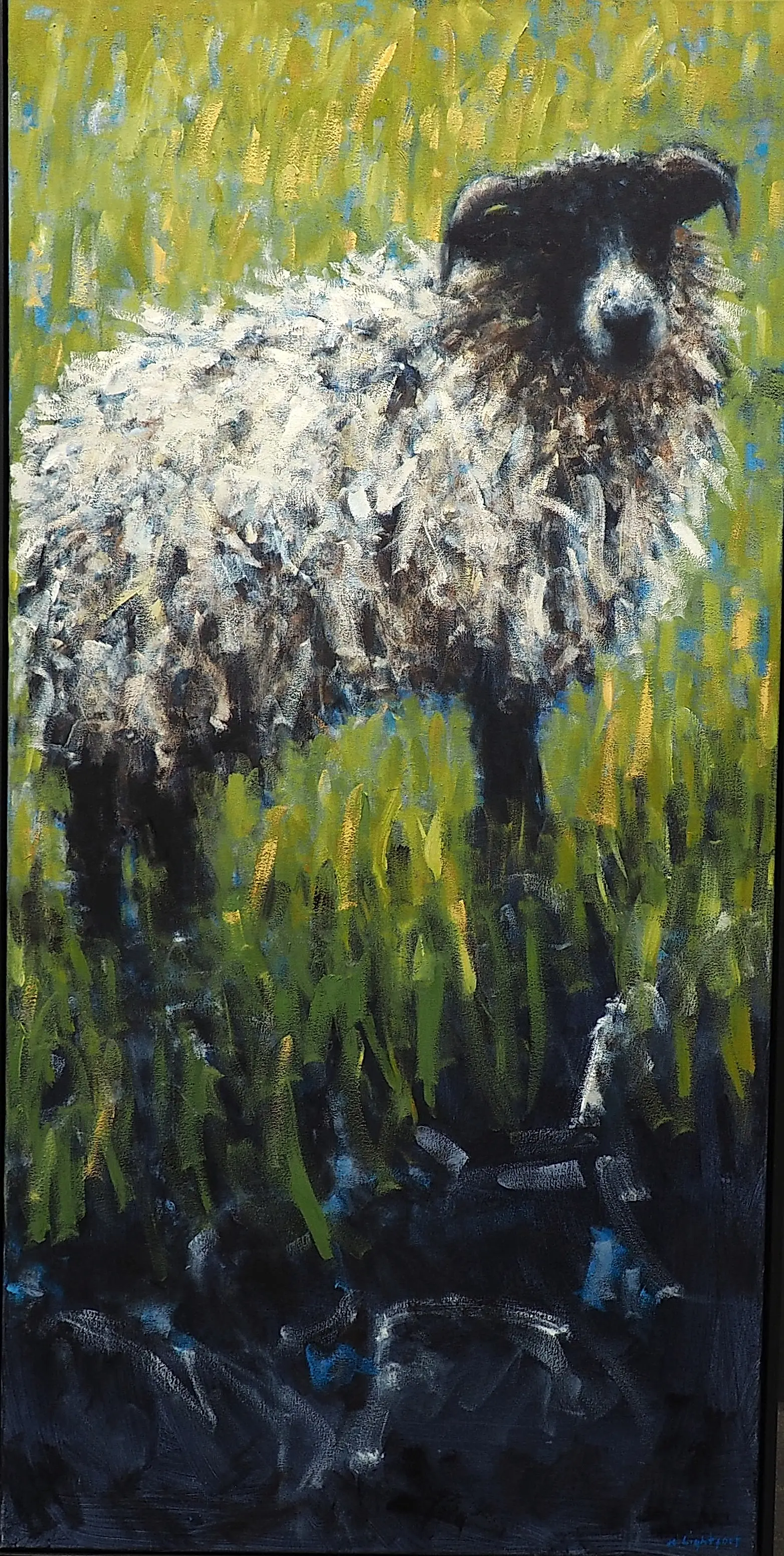 Dartmoor Sheep, Granite Wall