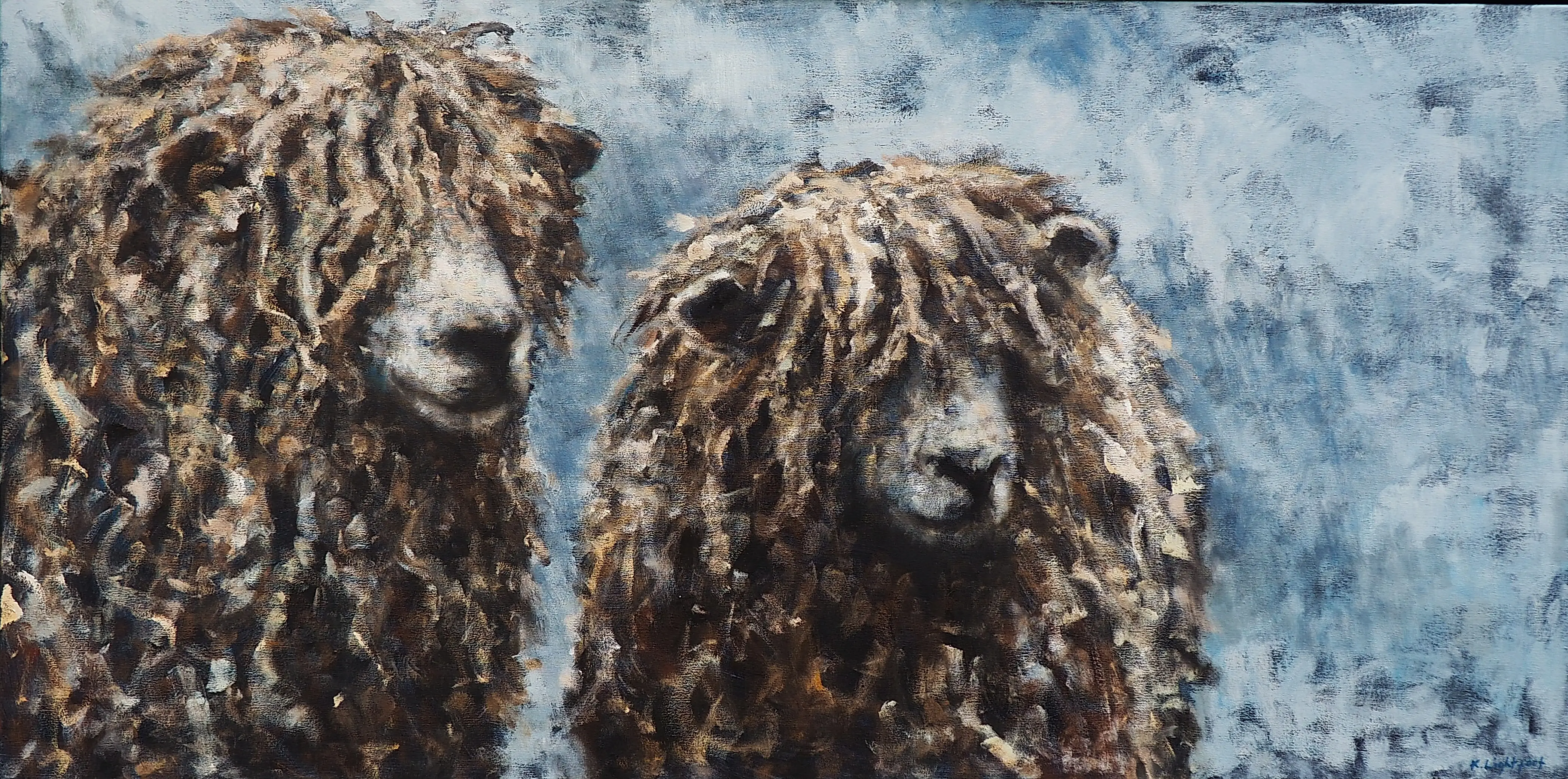 Two Longwools Sheep