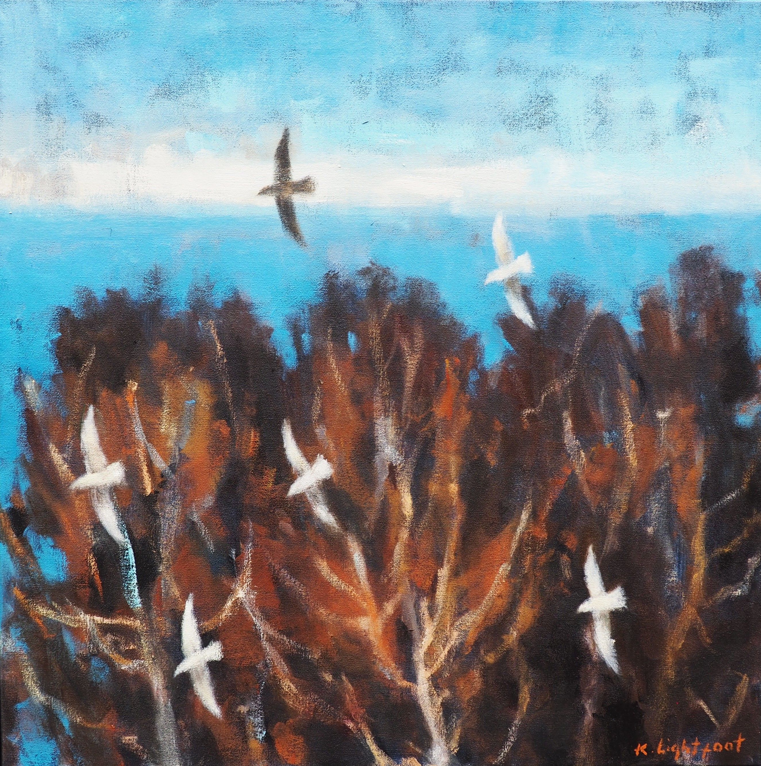 Gulls, Trees & Sea