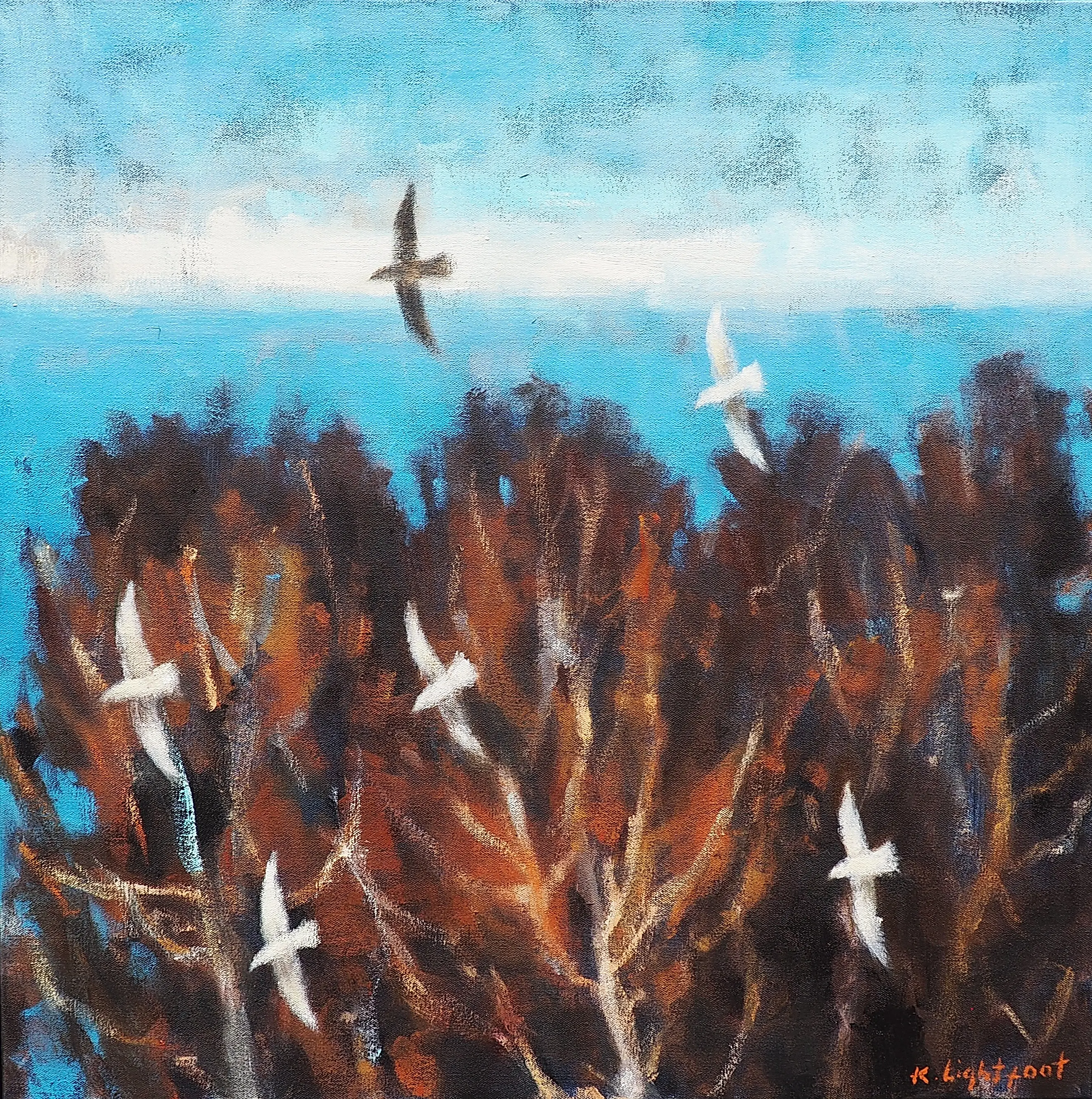 Gulls, Trees & Sea
