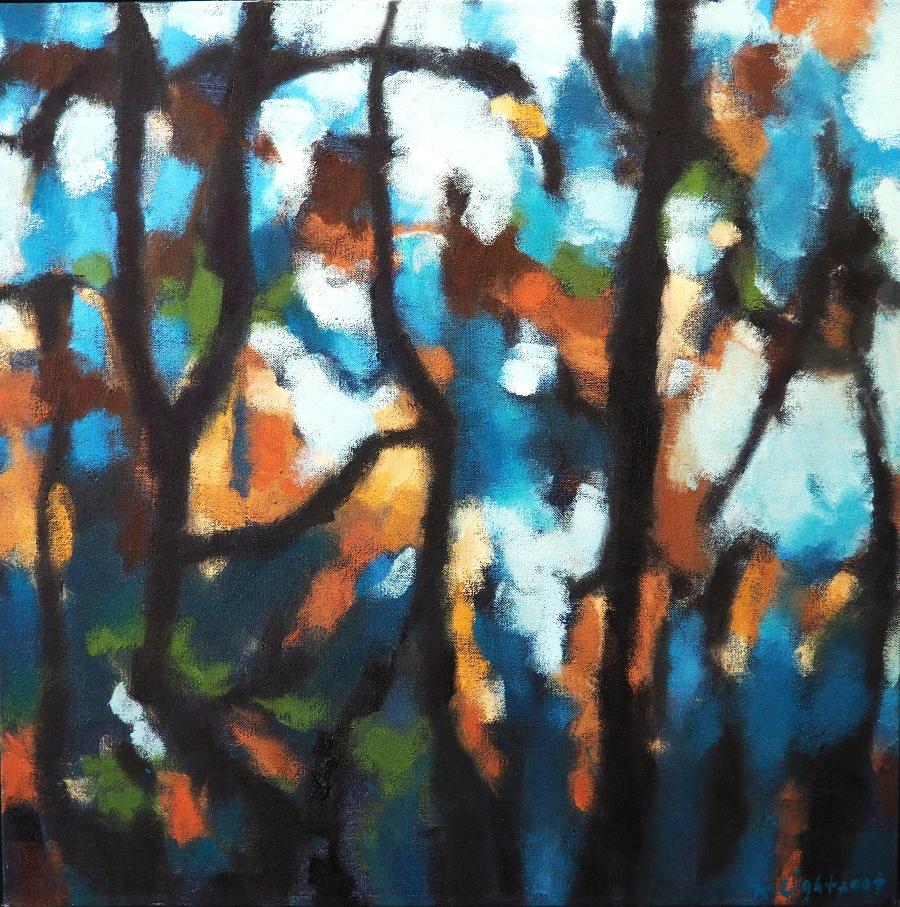 Trees, Autumn Colours