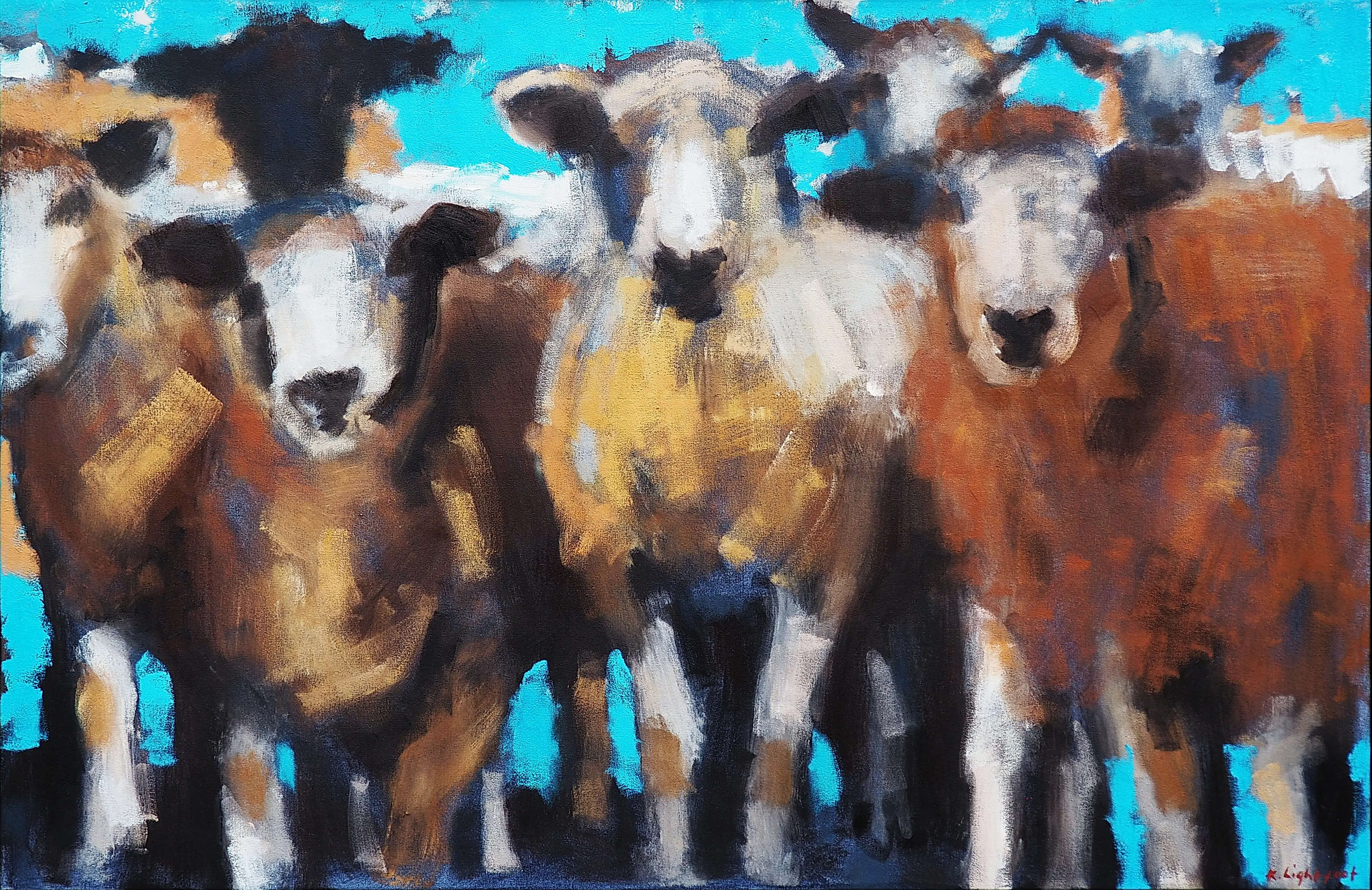 Seven Sheep, Turquise