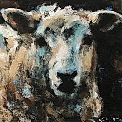 Portrait of Sheep