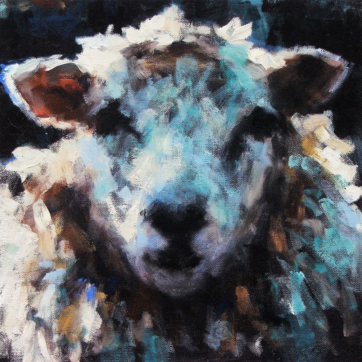 Sheep Blue Face
