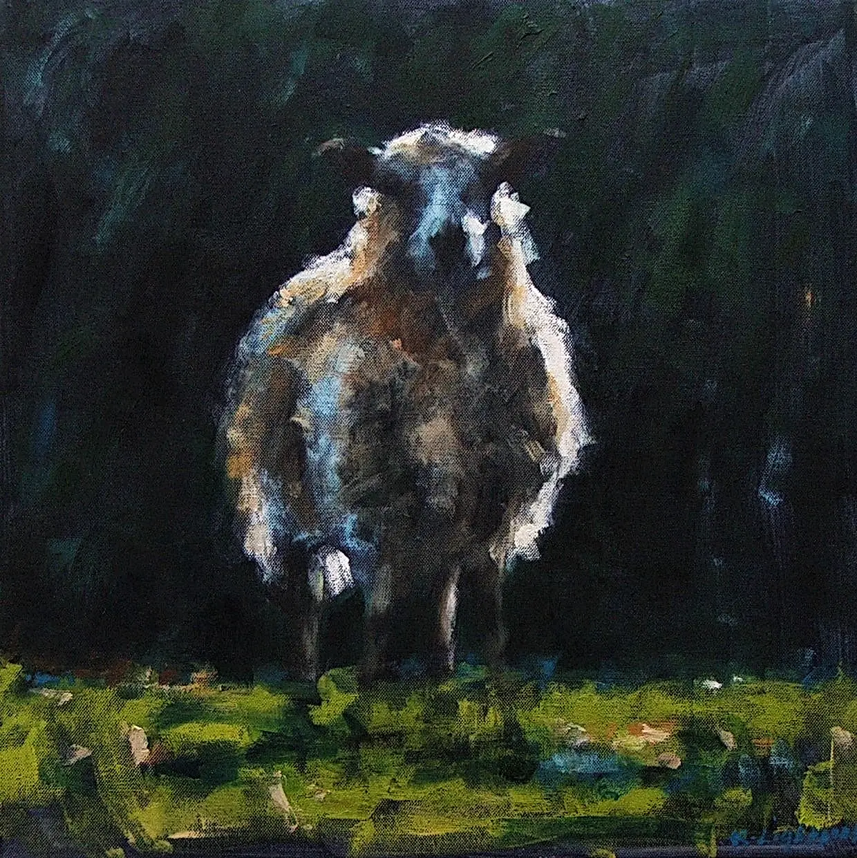 Sheep Green Grass