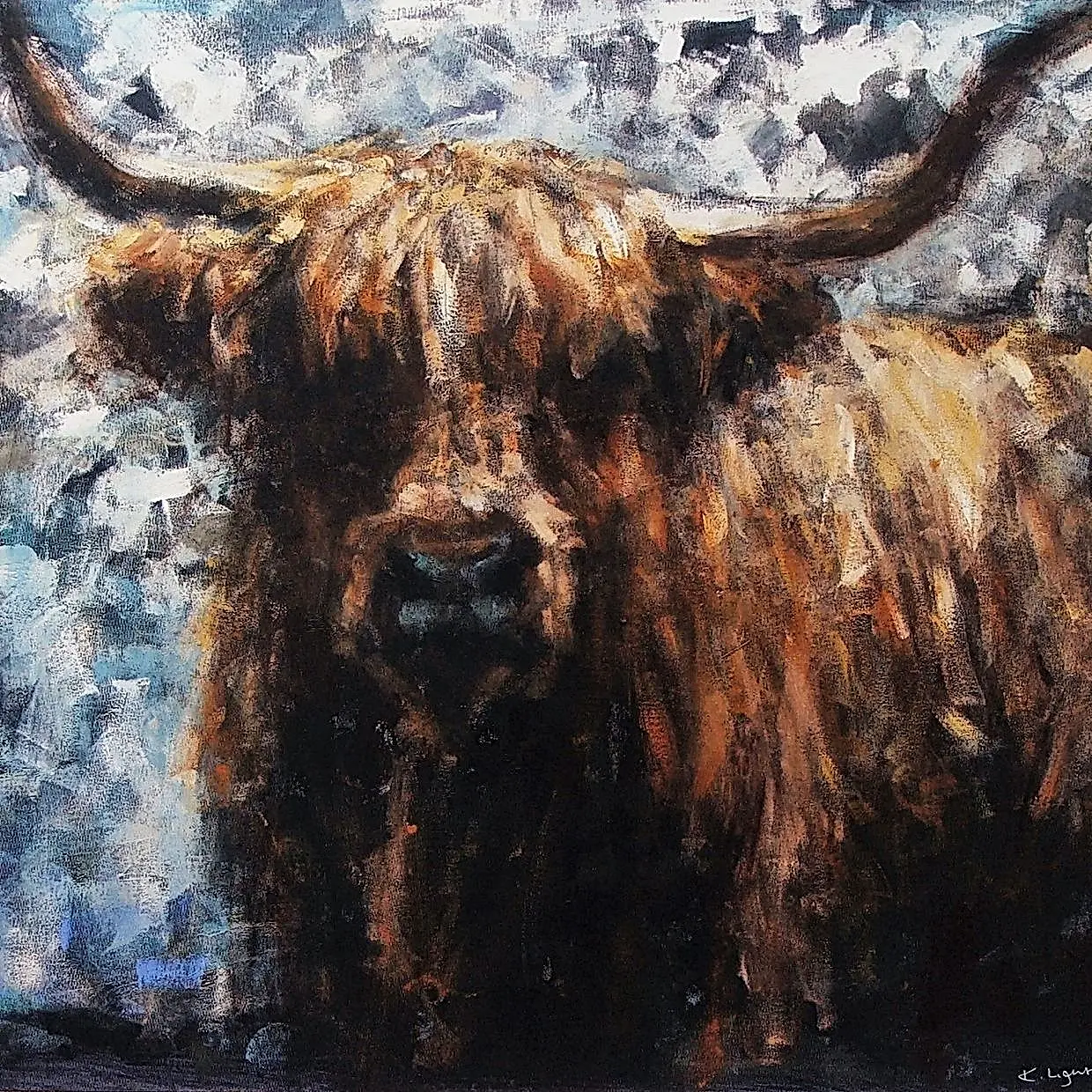 Highland Cow