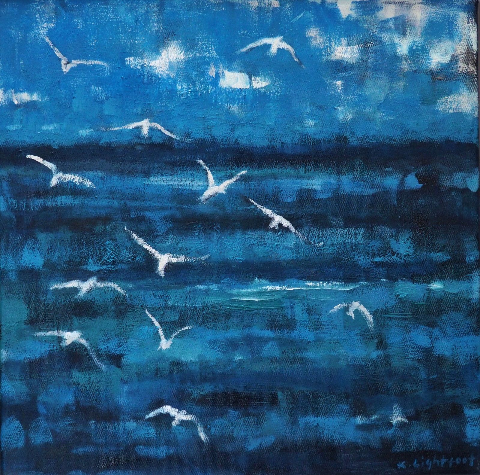 Gulls