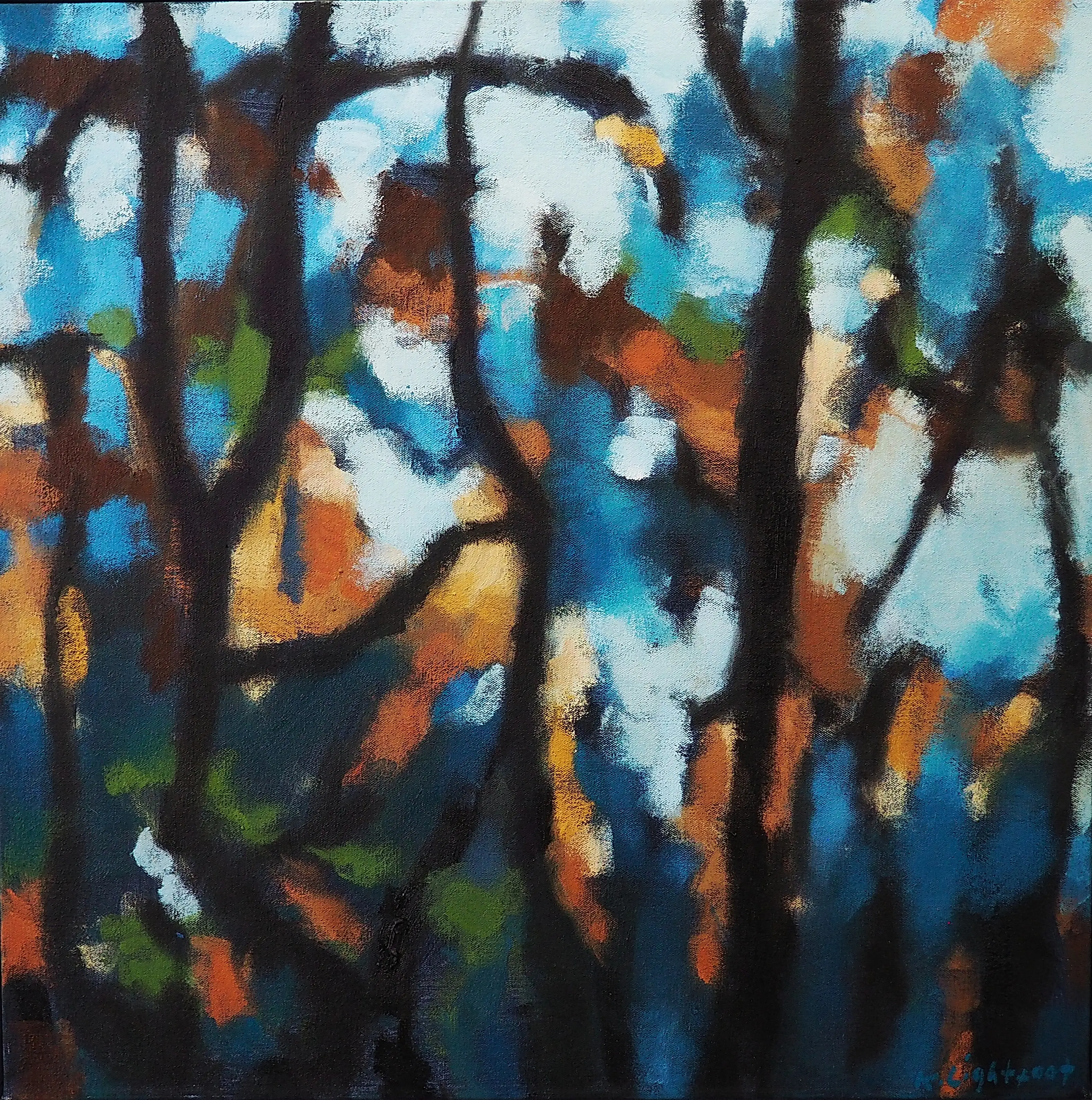 Trees, Autumn Colours