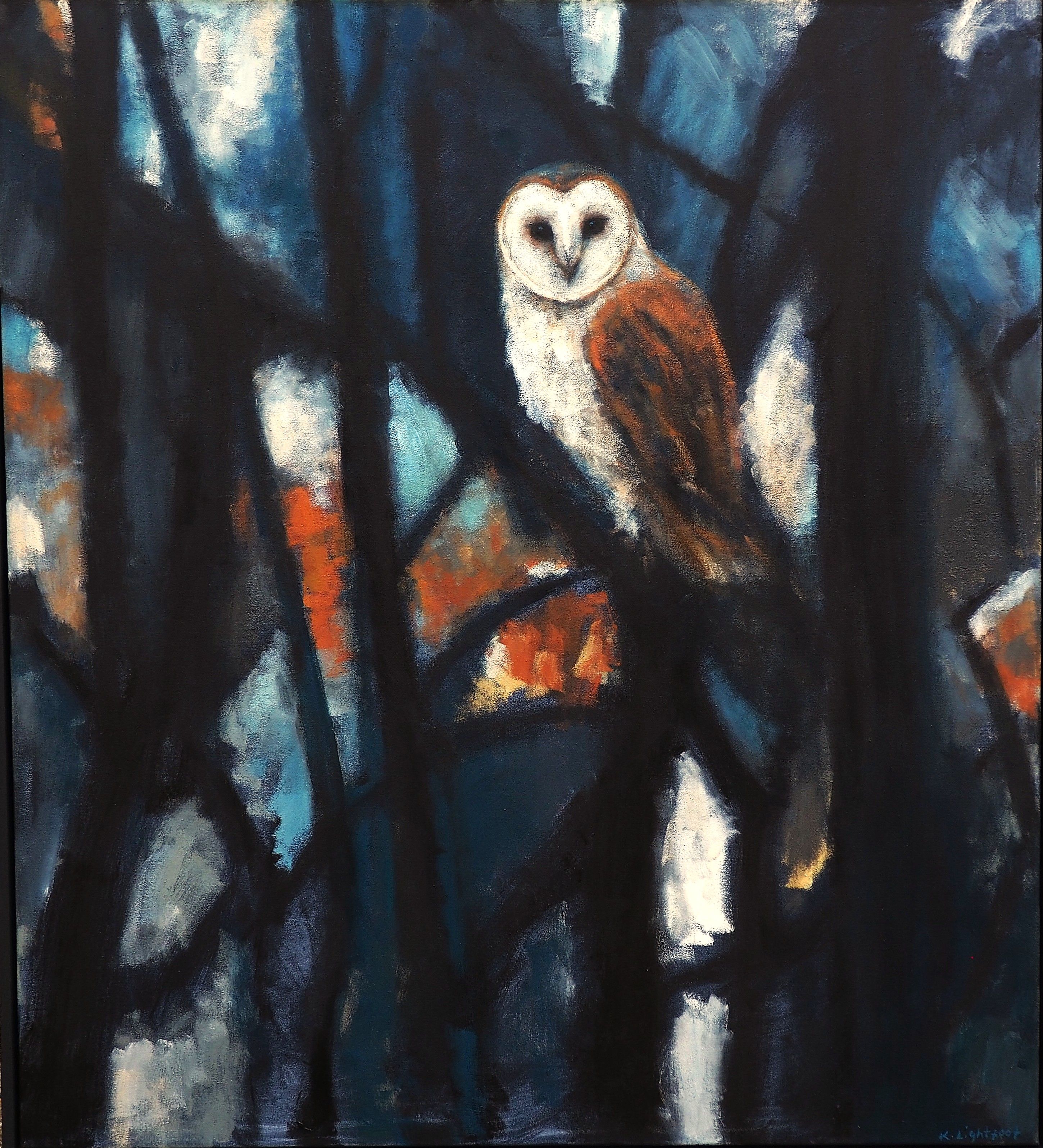 Barn Owl
