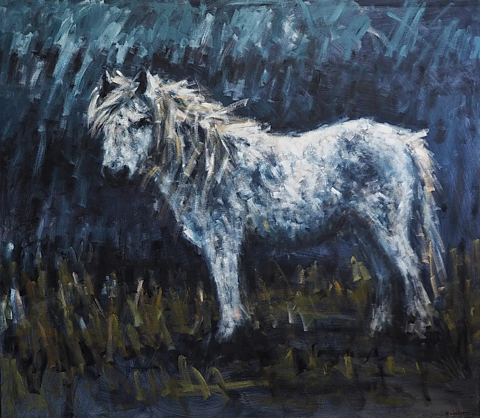 Pony Dartmoor Sky