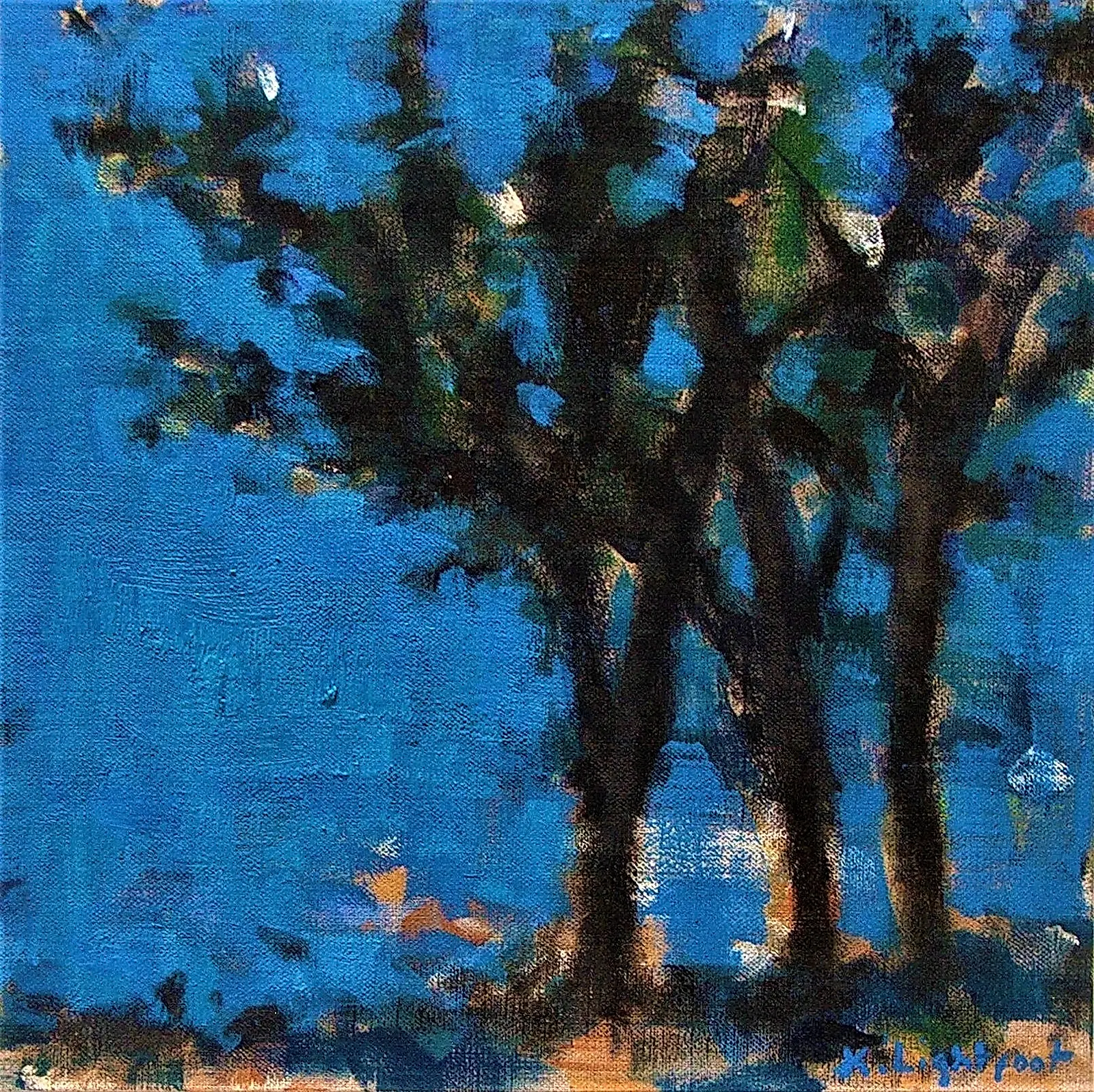 Trees Blue Sky