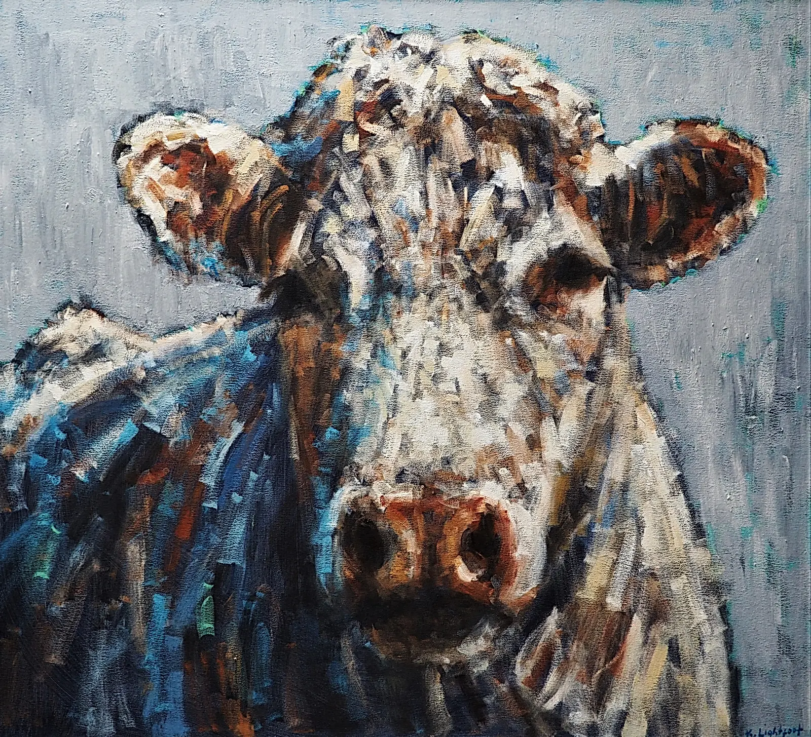 Charolais