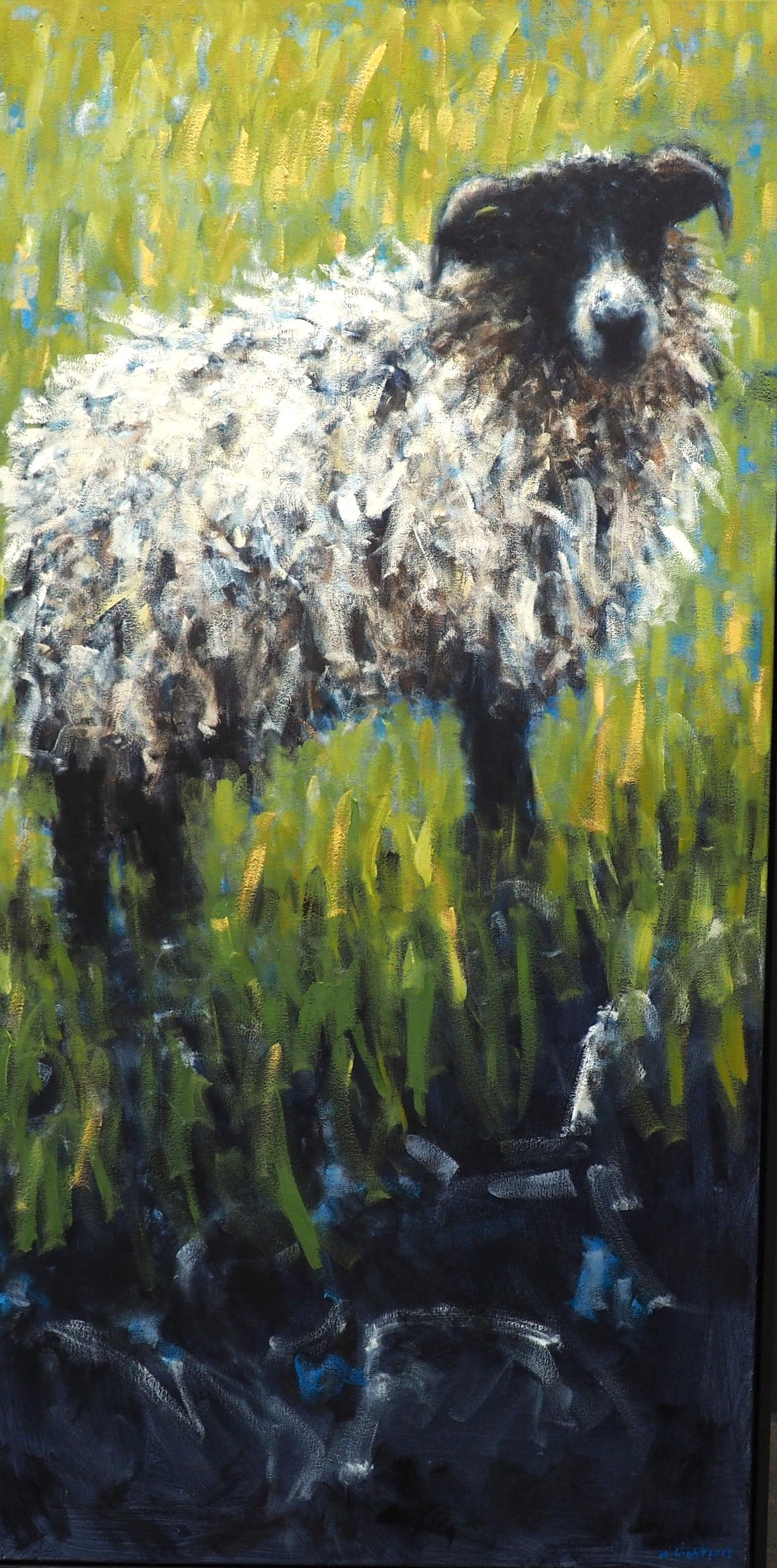 Dartmoor Sheep, Granite Wall