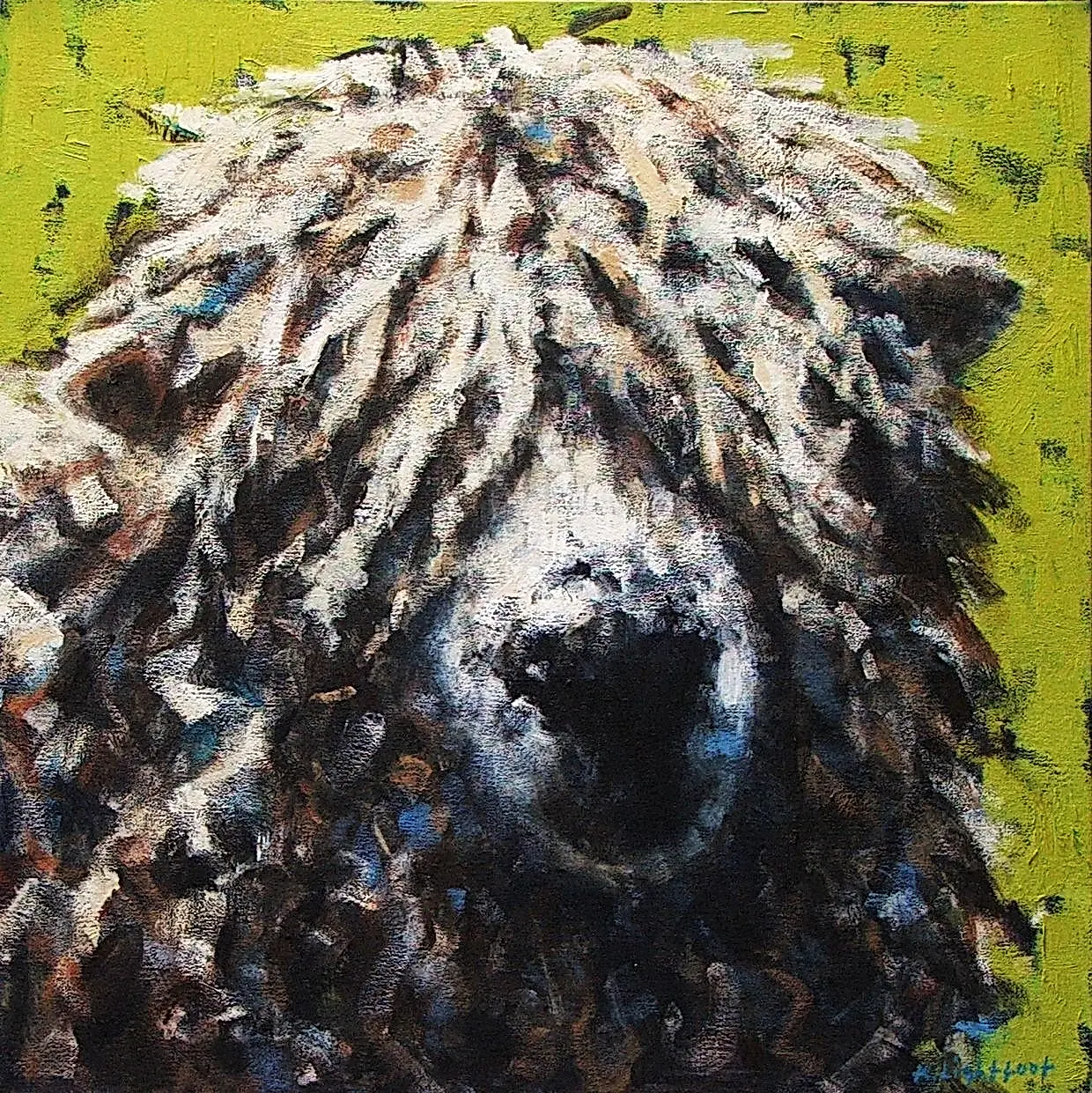 Yellow Longwool