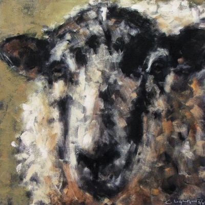 Dartmoor Sheep