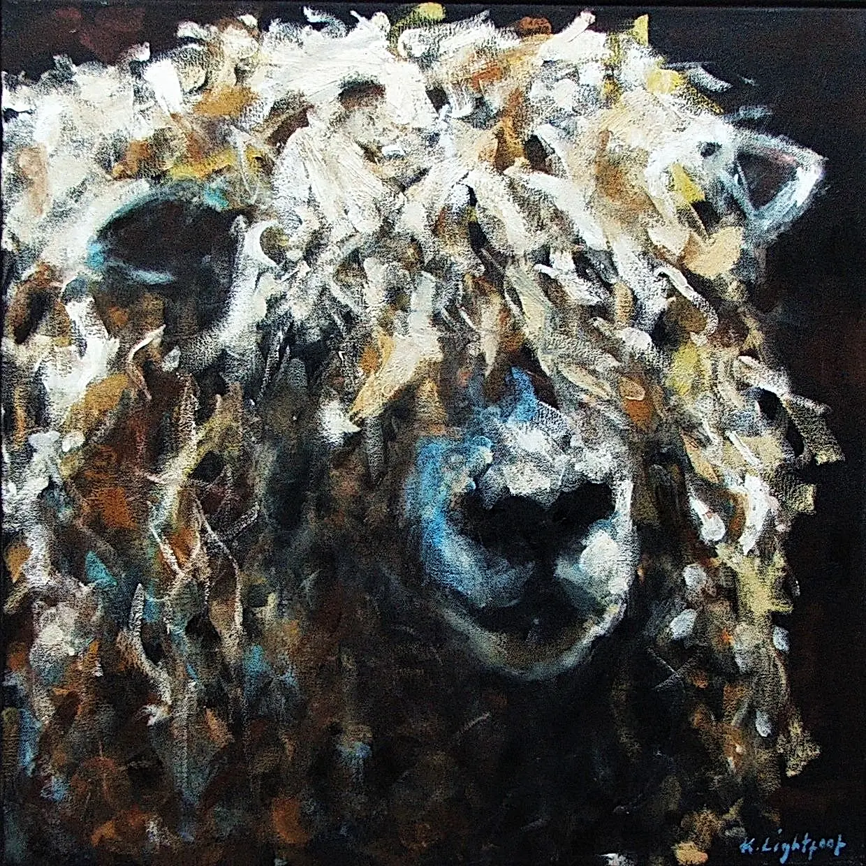 Devon Longwool