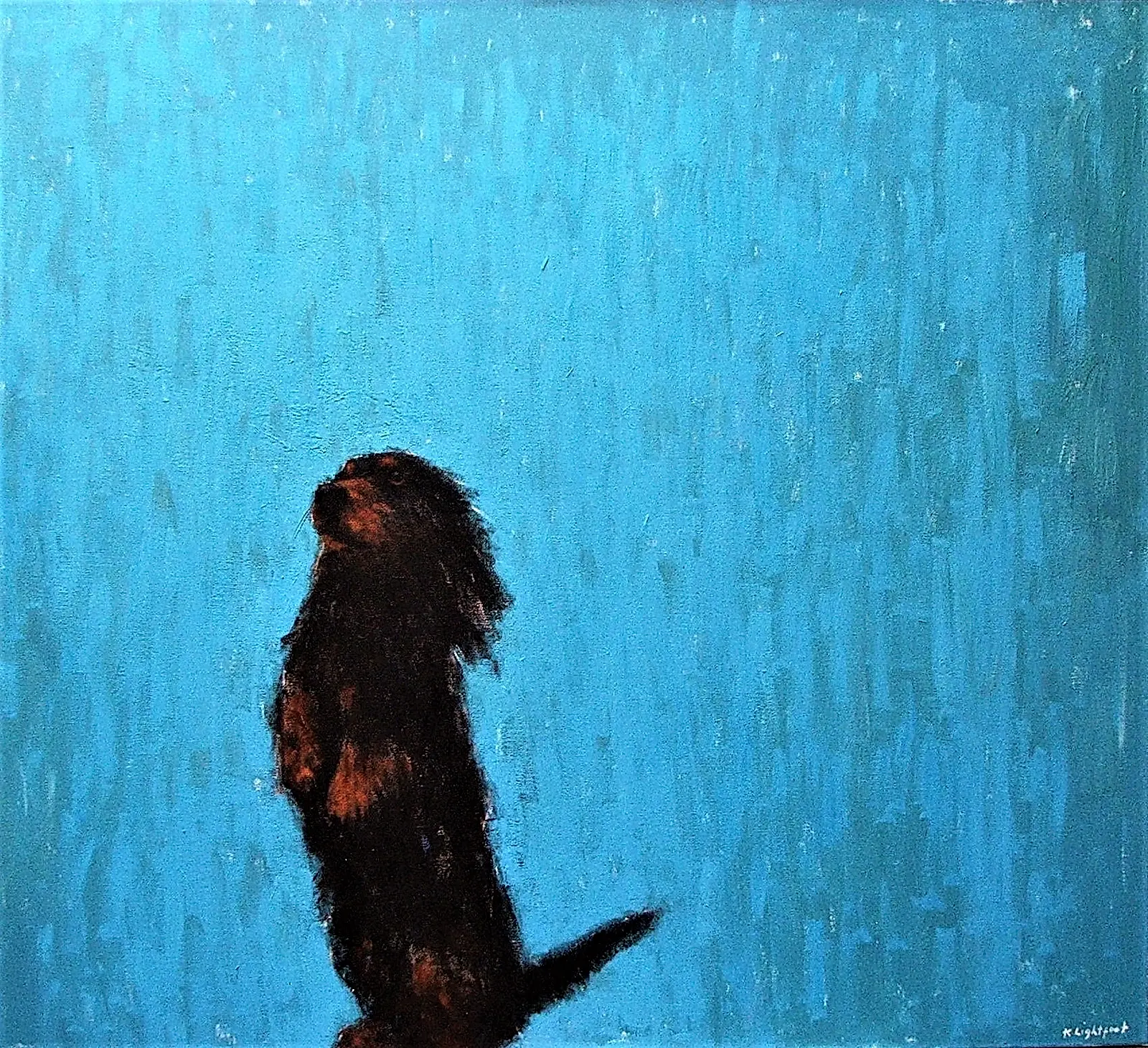 Dachshund