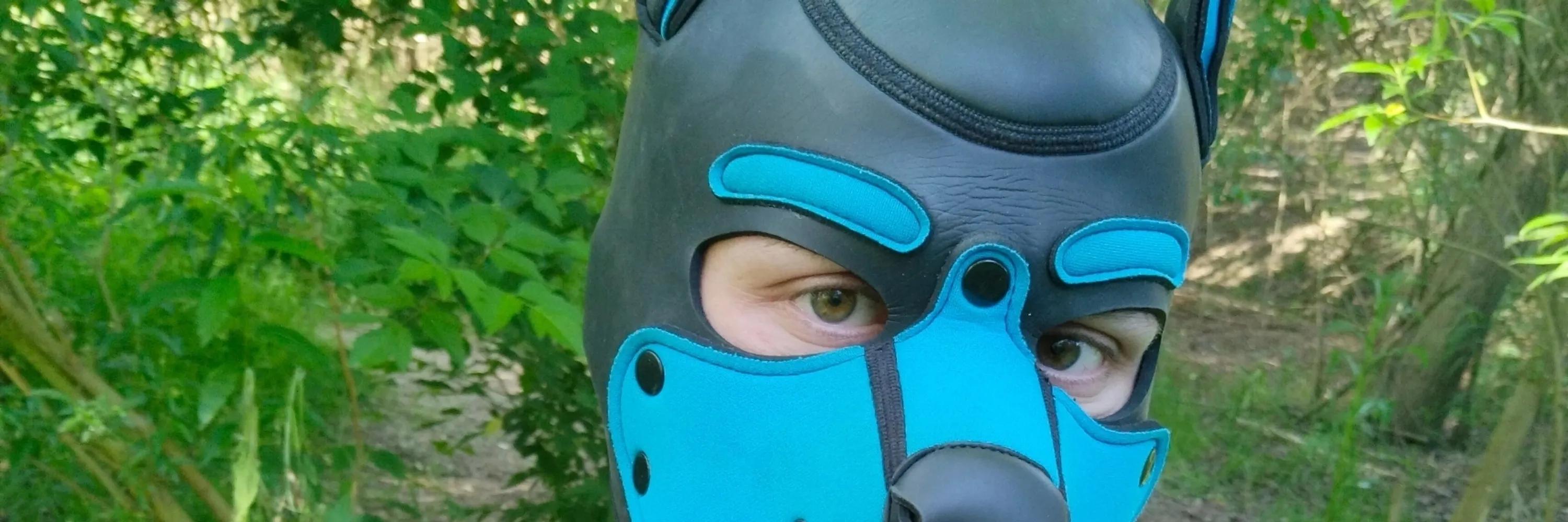 PupFenrirBlue (1.9K) Paris 1, 2 et 3 mai cover