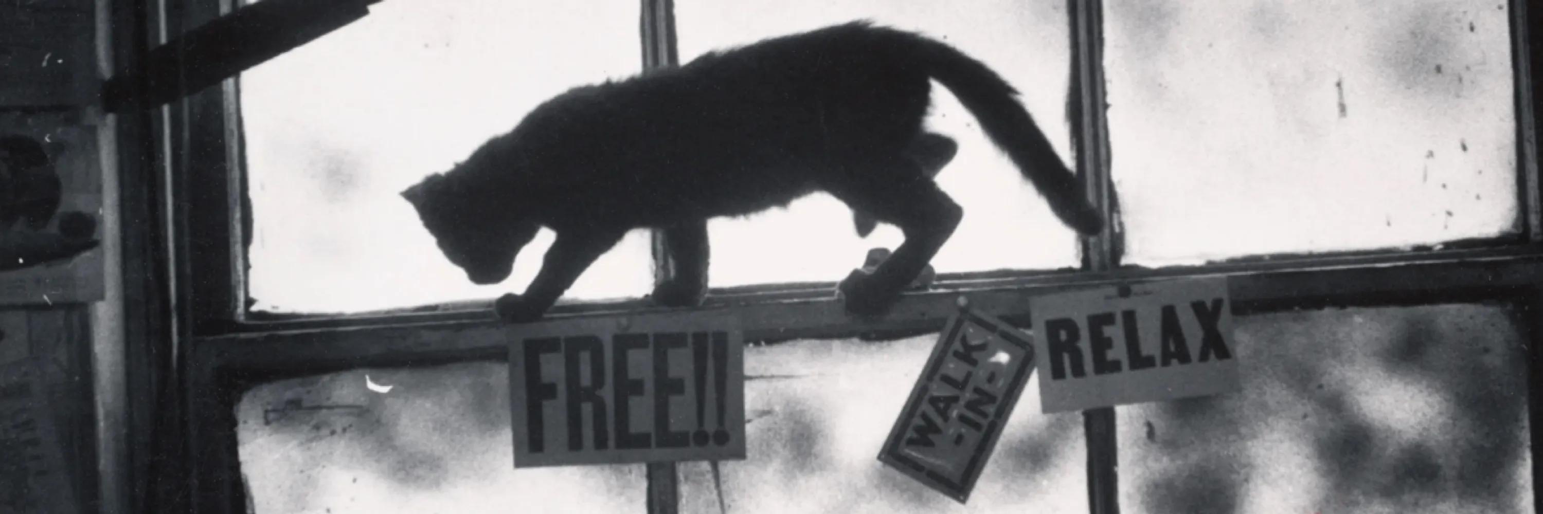 Cats of Yore cover