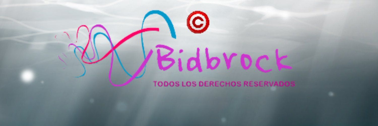 Bidbrock cover
