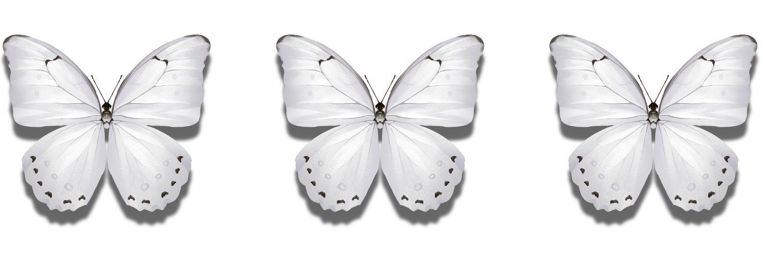 BUG-3 cover
