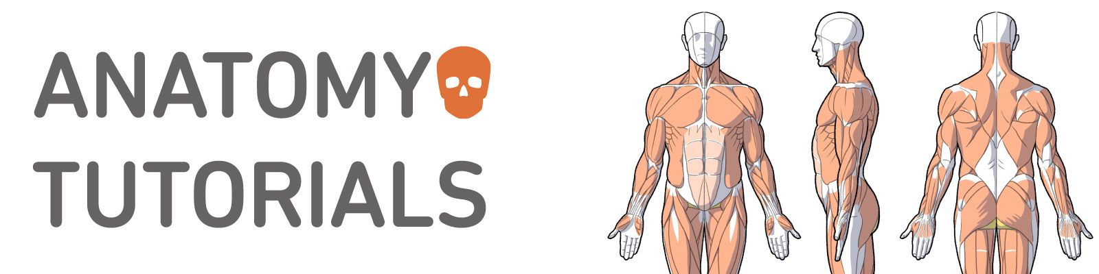 anatomy tutorials cover