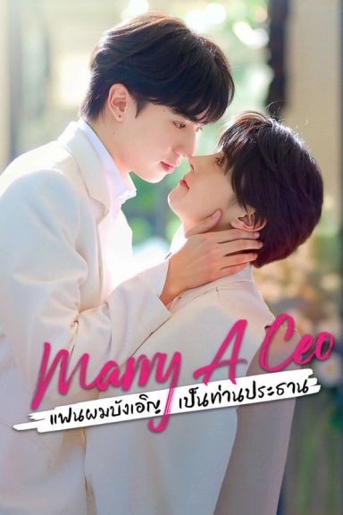 Marry a CEO