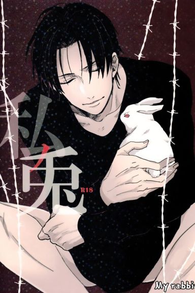 My Rabbit