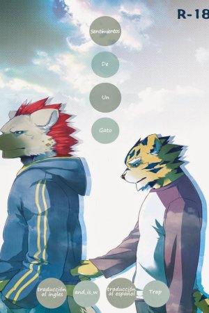 Feelings of a Cat 1