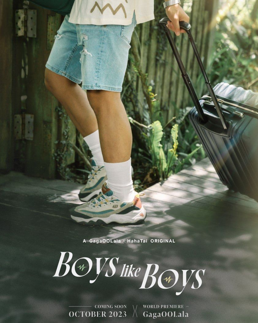 Boys Like Boys