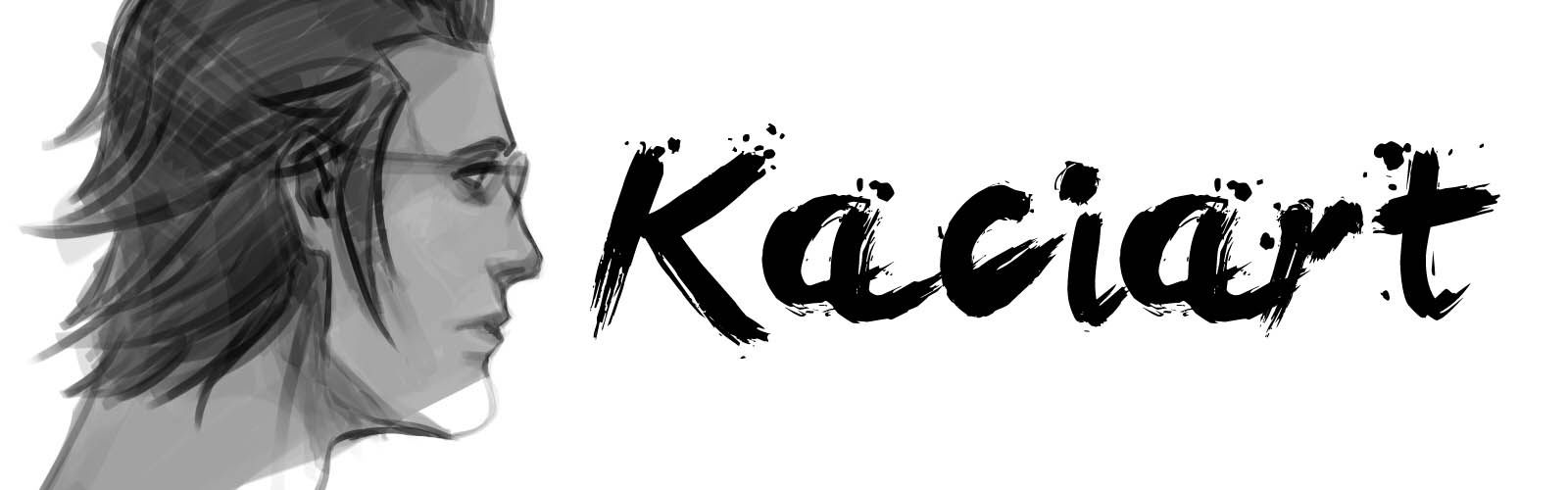 kacinsfw cover