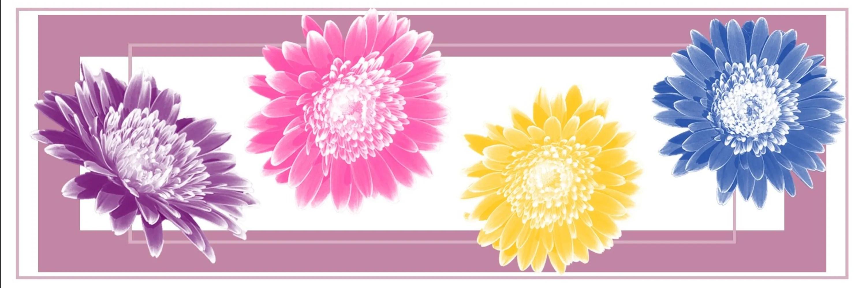 mamelby cover