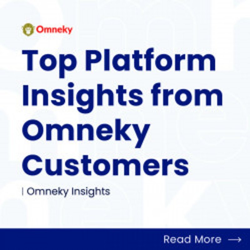 Top Platform Insights form Omneky Customers