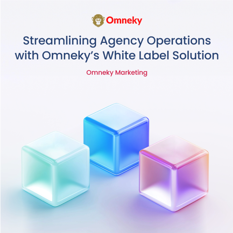 Streamline Agency Workflows with Omneky's White Label Solution