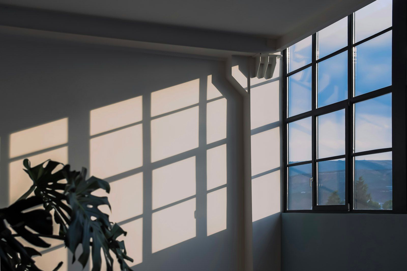 A bright, open, sunlit room