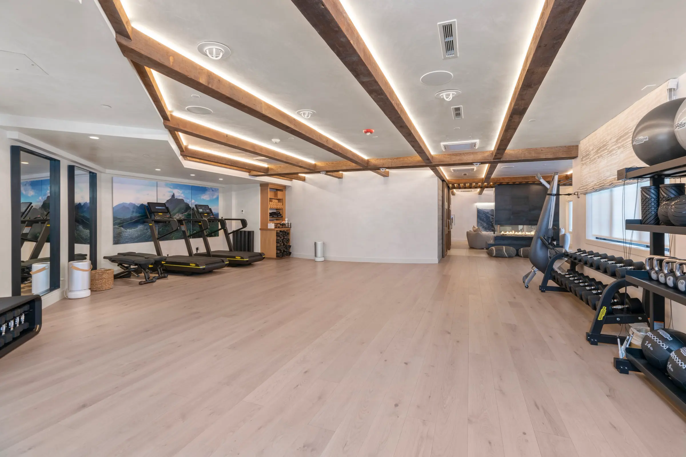 Reset Wellness Center — photo 8 by Osborne Builders, Telluride CO