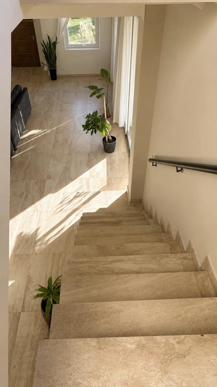 Galería 8