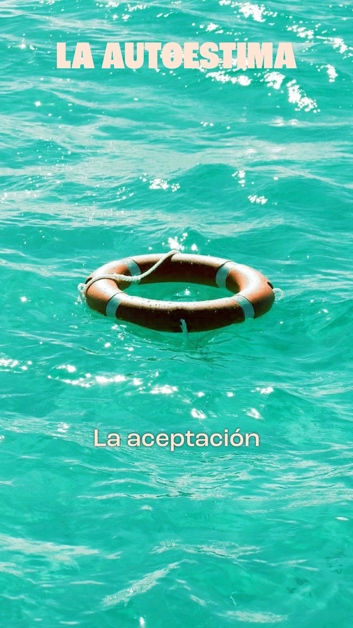 feed_LE-31