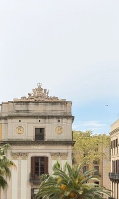 IMG_2650