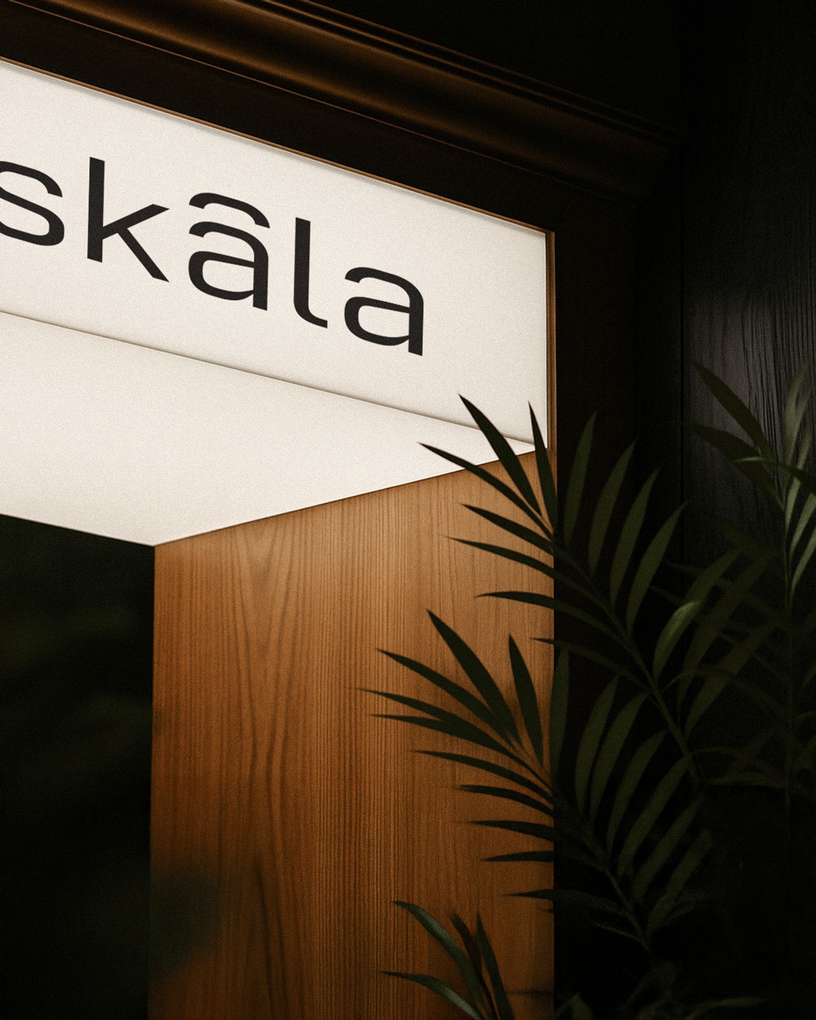 Skàla Studio | Concepto de Marca