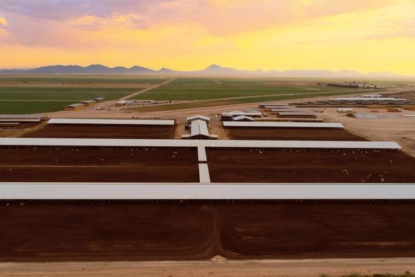 Arizona Dairy