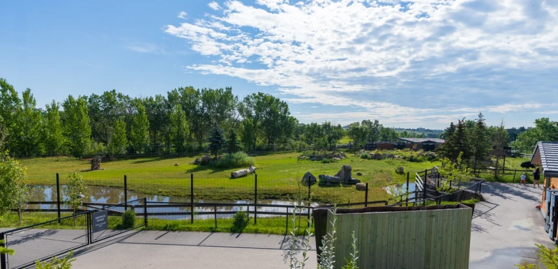 master planning zoo (calgary & edmonton)