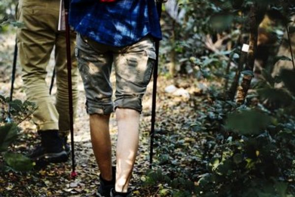 Day Trips | Worthwhile day trips an hour from Cape Town