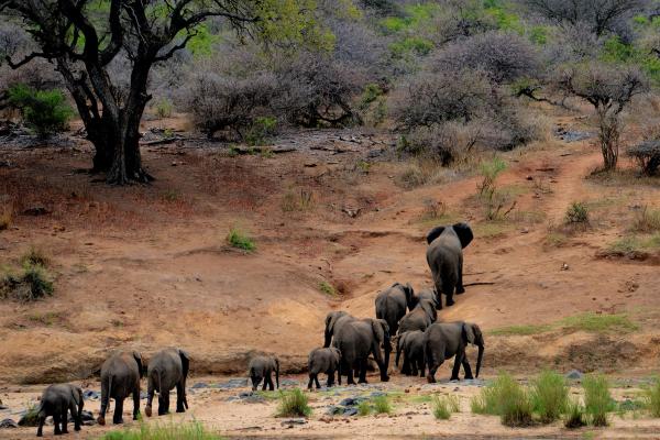 Shingwedzi, Zimbabwe | The 'place of ironstone’